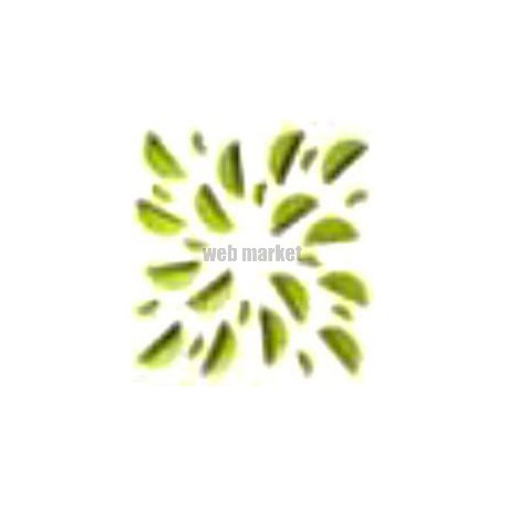 Next-klin 675 vert - diffuseur souf. 675x675 buses abs ve
