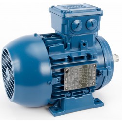MOTEUR TRI
