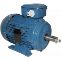MOTEUR TRI