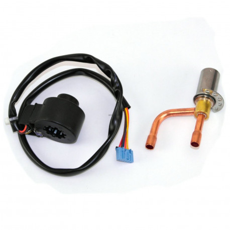 ASSEMBLAGE SOUPAPE EXPAN. ELEC