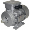 MOTEUR DAHLANDER (2 VITESSES)